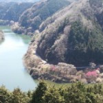 つきがせ
